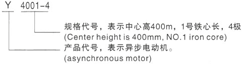 西安泰富西玛Y系列(H355-1000)高压YJTFKK5005-6三相异步电机型号说明