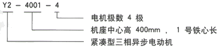 YR系列(H355-1000)高压YJTFKK5005-6三相异步电机西安西玛电机型号说明